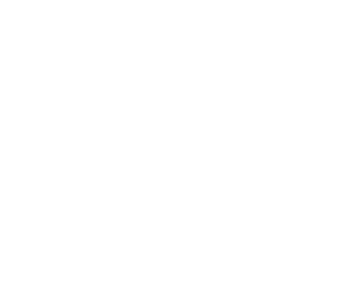 LionTech
